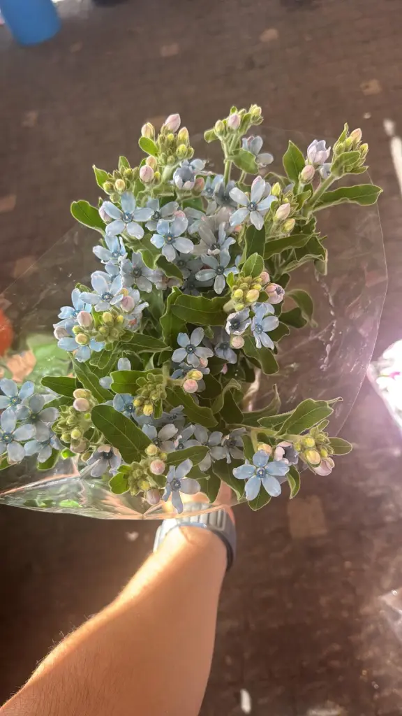 תמונה של WhatsApp‏ 2025-11-09 בשעה 15.19.00_45e57cd2.webp