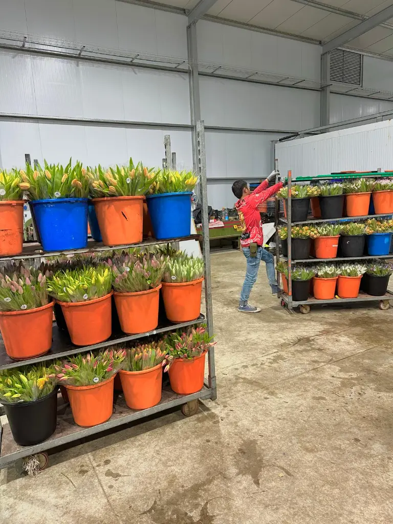 תמונה של WhatsApp‏ 2025-11-05 בשעה 13.04.18_067076b8.webp